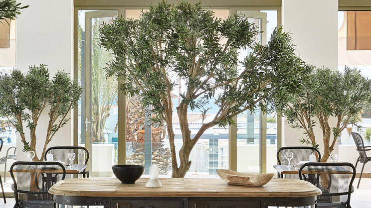 Grecotel LUXME Dama Dama